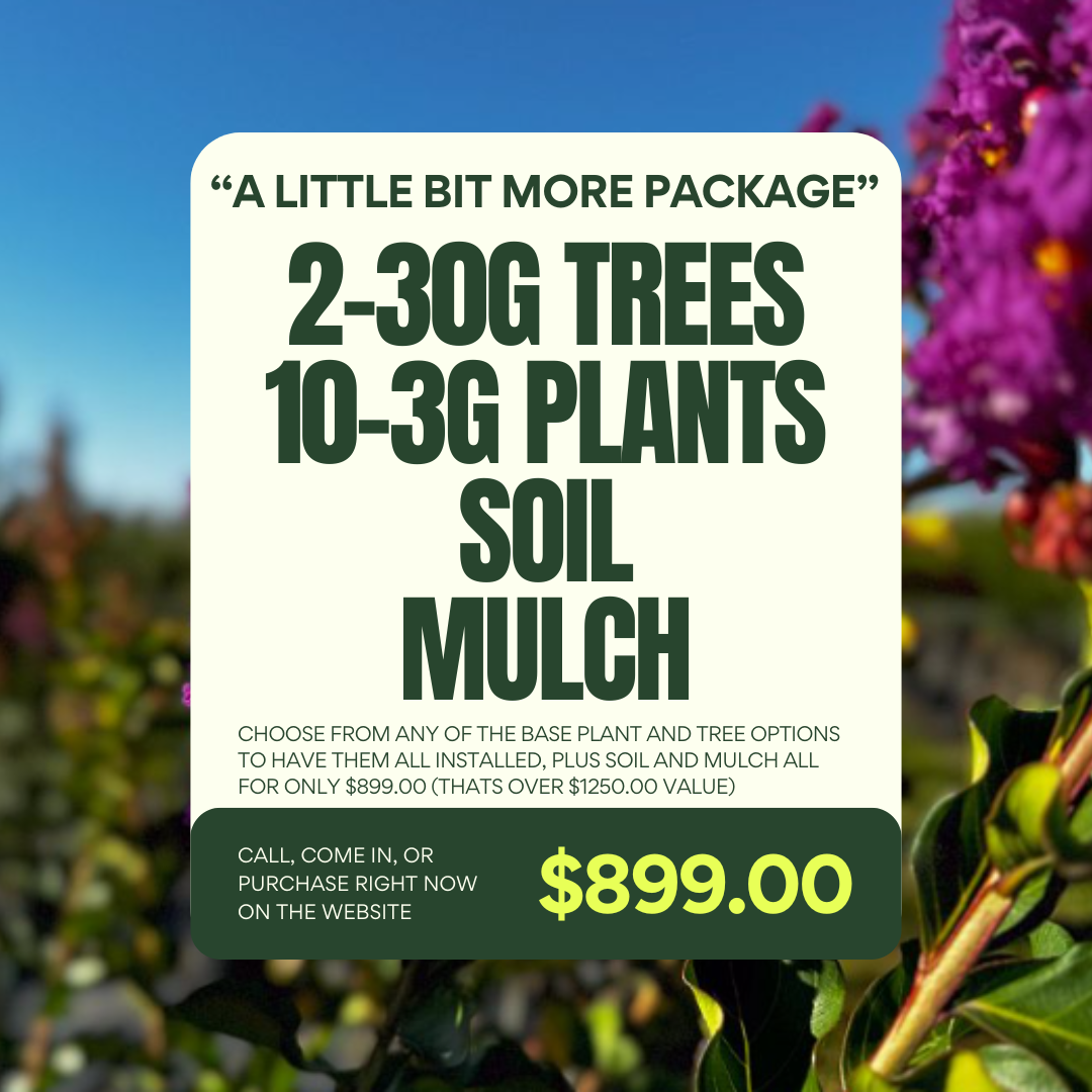 A Little Bit More Landscape Package