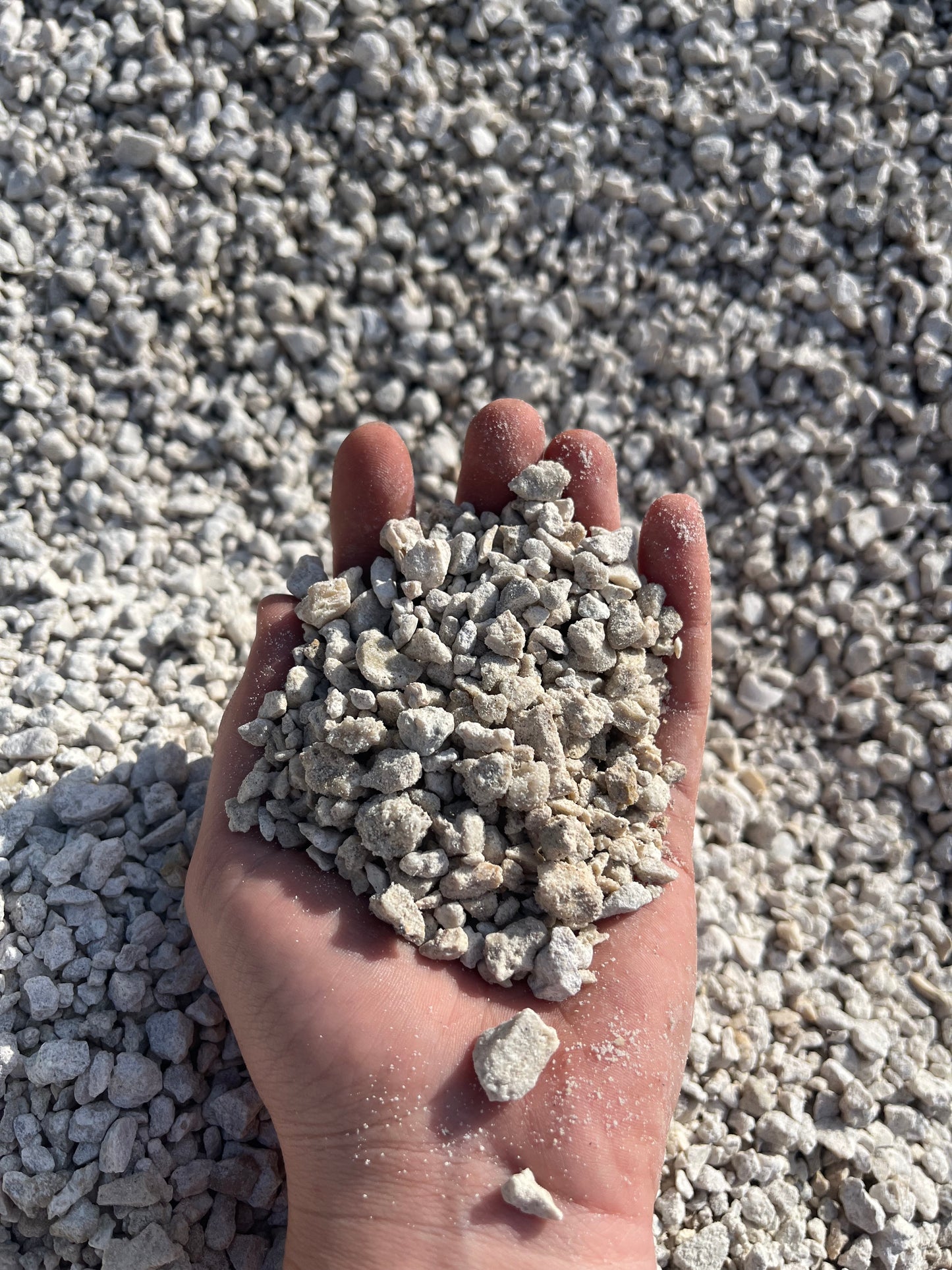 Bulk: #89 Limerock LABOR DAY SALE