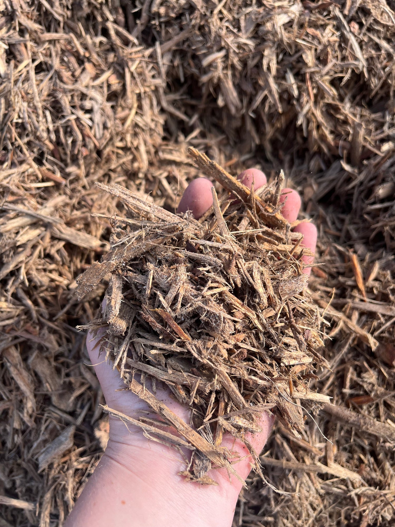 Mulch